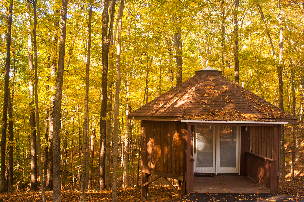 Retreat Cottage in woodsy environment